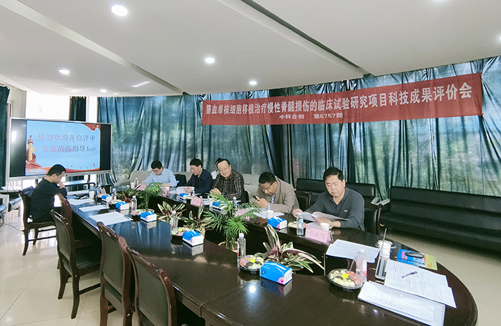 脐血单核细胞移植治疗慢性脊髓损伤的临床试验研究 anli.jpg